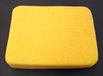 Sponges