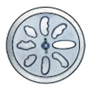 Scott Creek. 4" - 8 Shape Handle Die Set