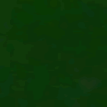 Aardvark Clay's Artisan Series AS-108 Dark Green Gloss - 1 lb.