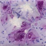 Mayco Jungle Gem - CG-1006 - Purple Reign -  4 fluid oz.