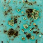 Mayco Jungle Gem - CG-1008 - Blue Guppy -  4 fluid oz.