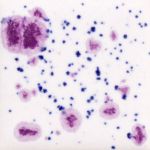 Mayco Jungle Gem - CG-1011 - Frosted Berries -  4 fluid oz.