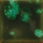 Mayco Jungle Gem - CG-707 - Woodland Fantasy -  4 fluid oz.