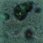 Mayco Jungle Gem - CG-713 - Peacock Green -  4 fluid oz.