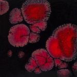 Mayco Jungle Gem - CG-779 - Black Opal -  4 fluid oz.