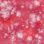 Mayco Jungle Gem - CG-968 - Peppermint Twist -  4 fluid oz.