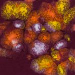 Mayco Jungle Gem - CG-969 - Floral Fantasy -  4 fluid oz.