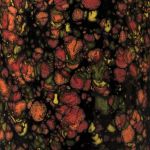 Mayco Jungle Gem - CG-970 - Masquerade -  4 fluid oz.