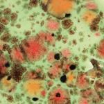 Mayco Jungle Gem - CG-982 - Mixed Melon -  4 fluid oz.