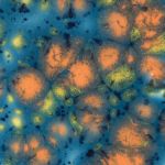 Mayco Jungle Gem - CG-983 - Koi Pond -  4 fluid oz.