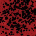 Mayco Jungle Gem - CG-984 - Ladybug -  4 fluid oz.