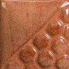 Mayco Element - EL-143 - Cactus Flower - 1 pint