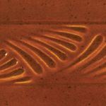 AMACO Potter's Choice - PC-52 - Deep Sienna Speckle - 1  pint