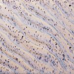 AMACO Potter's Choice Flux - PCF - 16 - Aurora Breeze - 1  pint