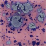 Mayco Crystalite - S-2703 - Berryberry Pie -  4 fluid oz.