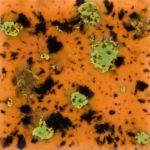 Mayco Crystalite - S-2708 - Oriental Carmel -  4 fluid oz.