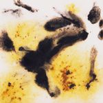 Mayco Crystalite - S-2726 - Cheetah -  4 fluid oz.