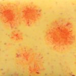 Mayco Crystalite - S-2729 - Citrus Splash -  4 fluid oz.