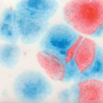 Mayco Crystalite - S-2731 - Kaboom -  4 fluid oz.