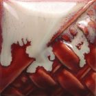 Mayco Stoneware Glaze - SW-401 - Light Flux - 1 pint