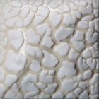 Mayco Stoneware Glaze - SW-403 - White Mudcrack - 1 pint