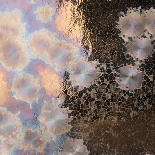 AMACO Cosmos - CO-03 - Event Horizon - 1  pint