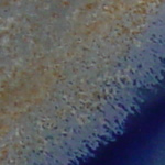 AMACO Sahara High Fire Texturizer - TH-1 - Rutile Base - 1 pint